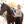 POPPI Long Sleeve Schooling Top - BellEq™ Equestrian Apparel