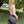 Jaltika Gold Edition Women's Riding Breeches