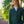 Monet Women's Competition Jacket