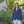 Monet Women's Competition Jacket