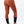 Jaltika Riding Breeches for Women - Seasonal Colors Limited Edition