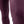 Jaltika Riding Breeches for Women - Seasonal Colors Limited Edition
