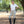 MICHELLE Linen Shirt